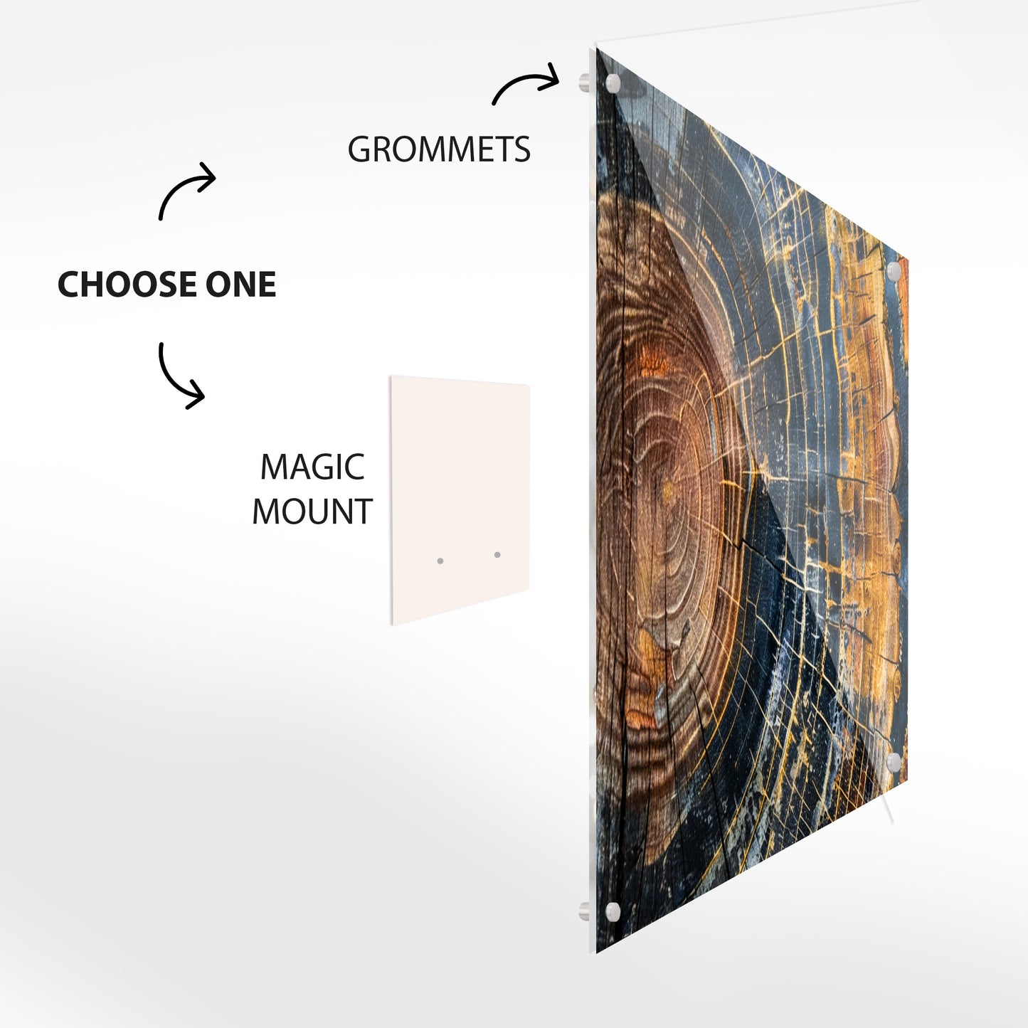 Colorful Tree Rings Glass Wall Art