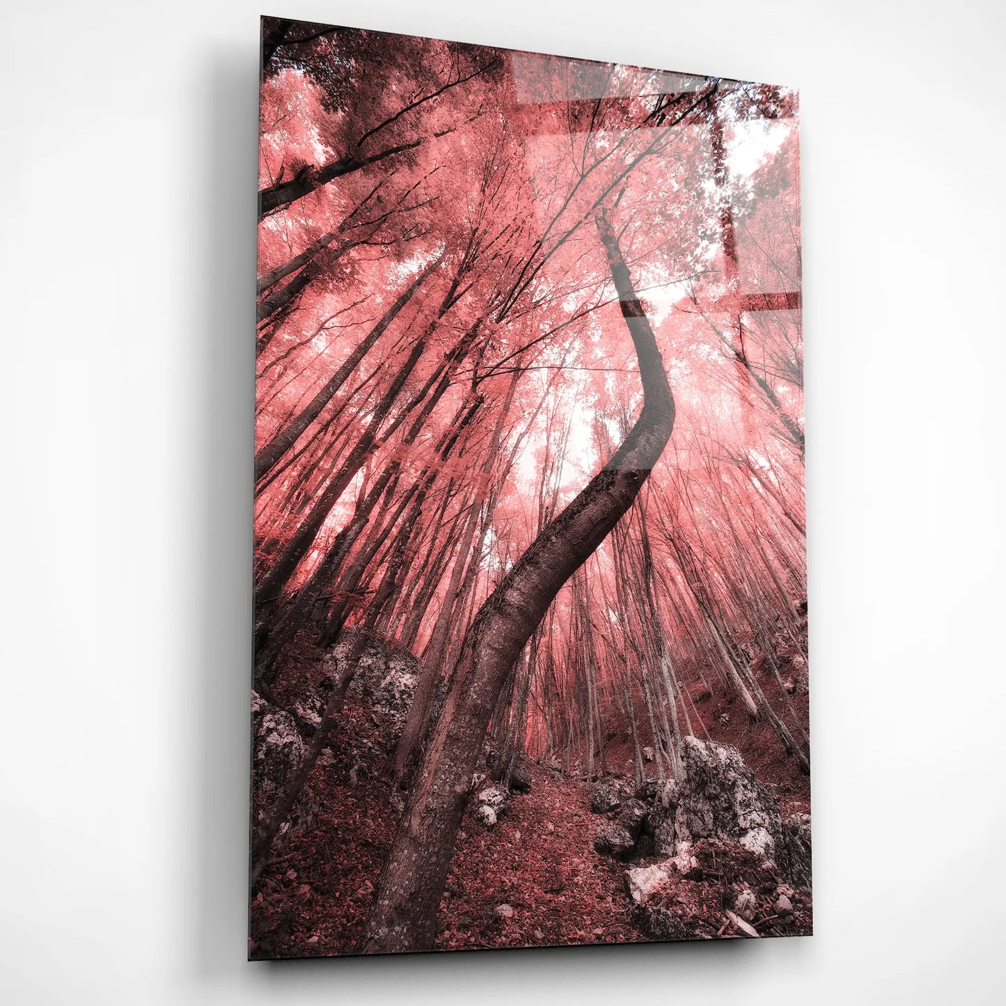 Enchanted Bloom – Glass Poster