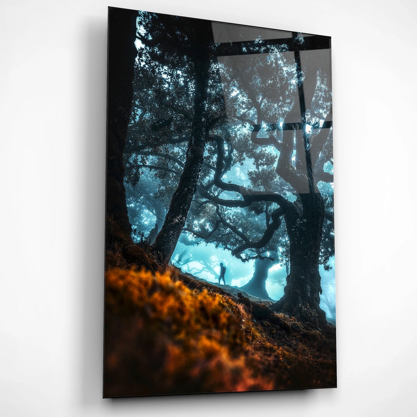 Mystic Forest – Glass Poster
