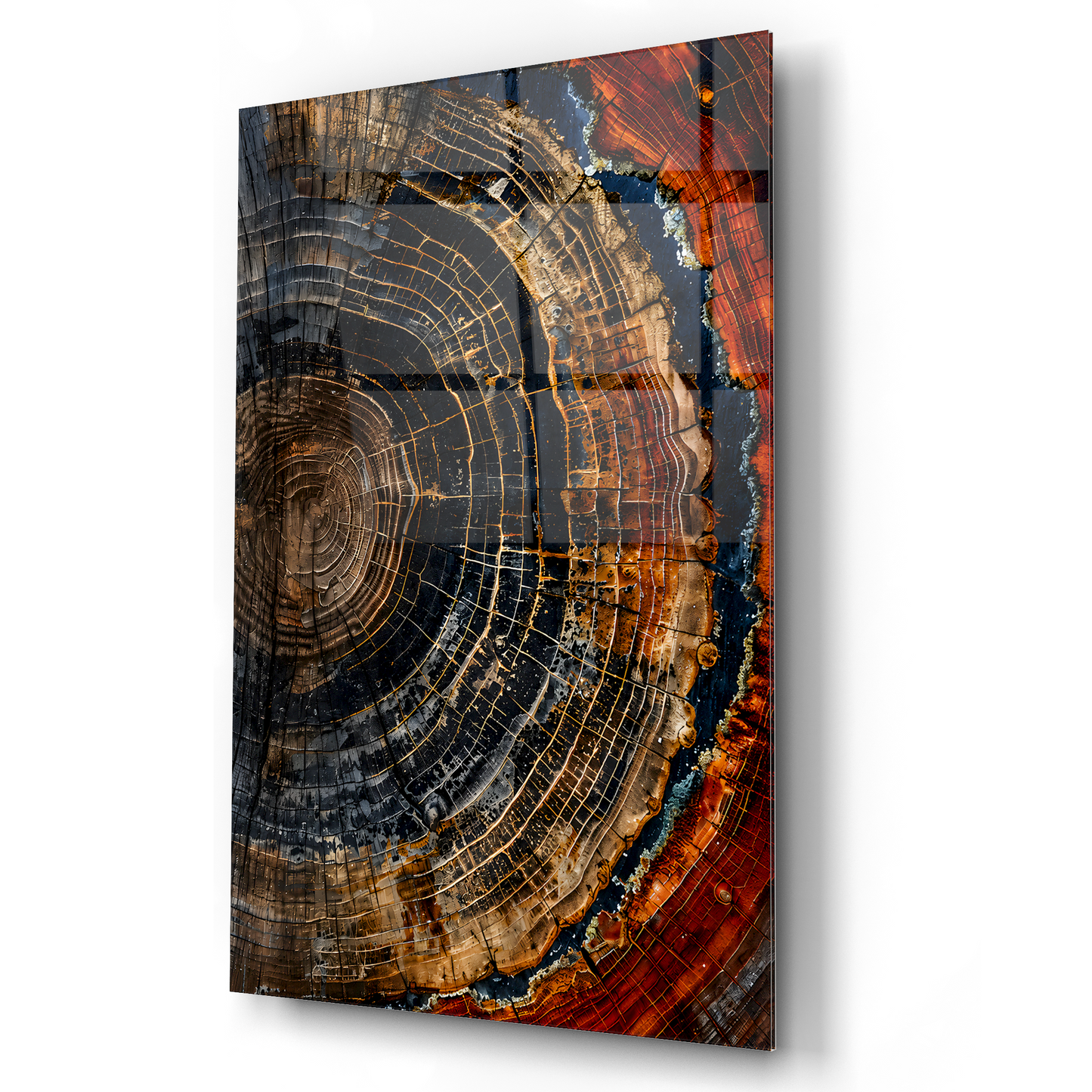 Tree Rings Glass Wall Art