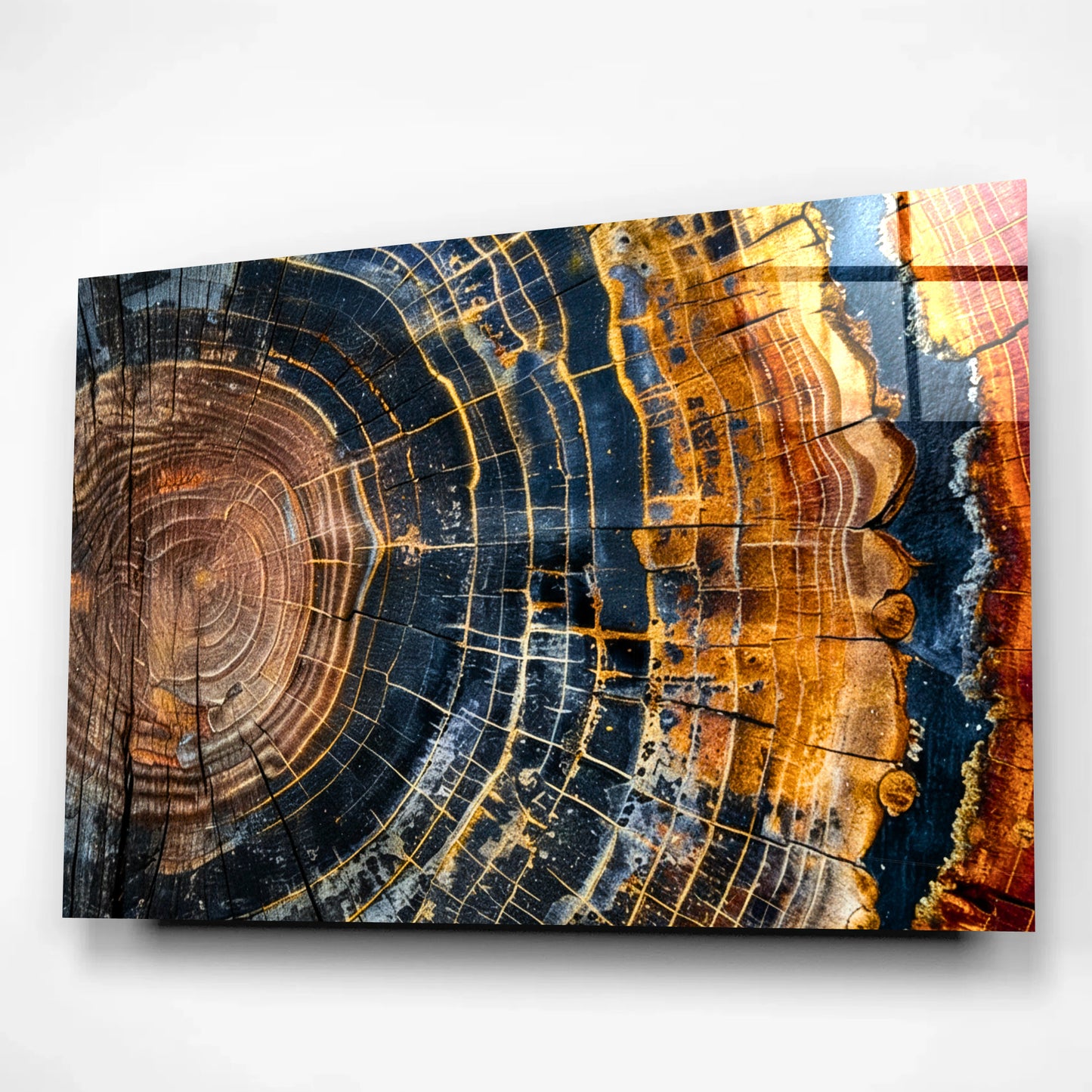 Colorful Tree Rings Glass Wall Art