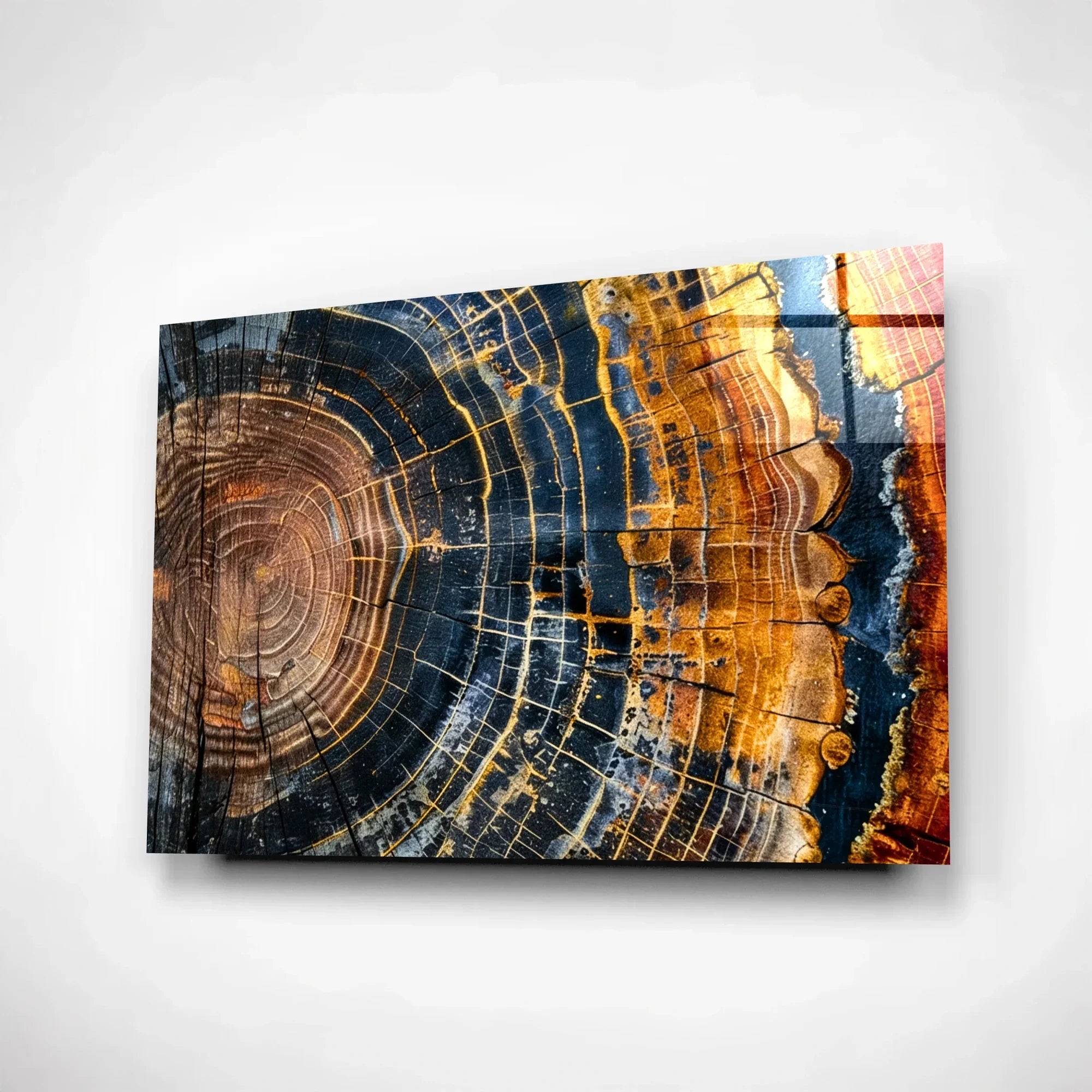 Colorful Tree Rings Glass Wall Art for dining room