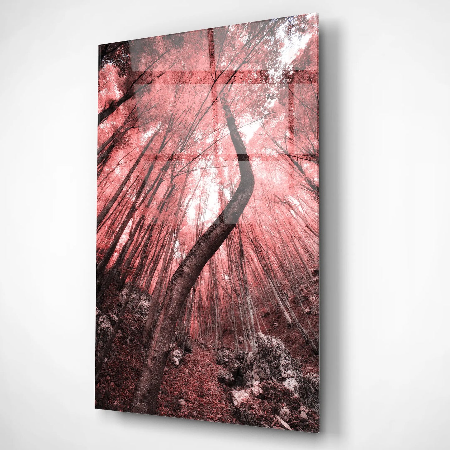 Enchanted Bloom – Glass Poster