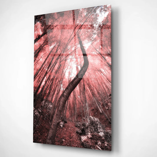 Enchanted Bloom – Glass Poster