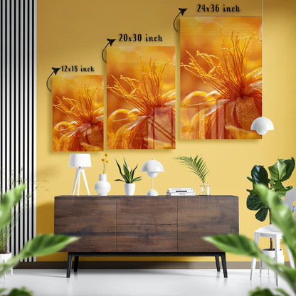 Radiant Petals Glass Poster