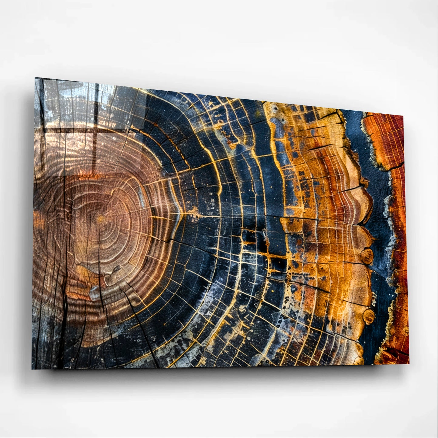 Colorful Tree Rings Glass Wall Art