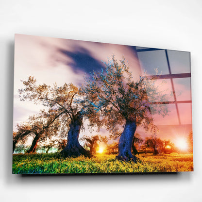 Starry Green Sky Glass Poster